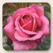 Mañana de color rosa oscuro subió posavasos
