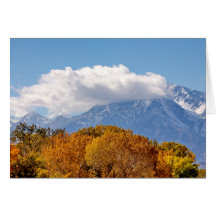 Mañana de la caída tarjetón