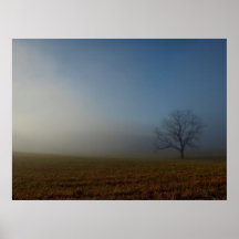 Mañana de niebla impresiones