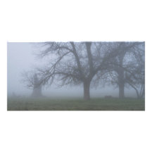 Mañana de niebla tarjeta fotográfica personalizada
