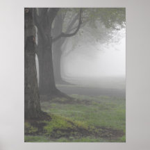 Mañanas de niebla 7 poster