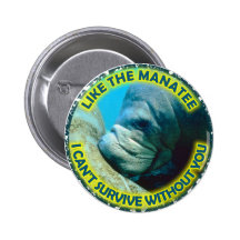 Manatee EB01 Pin