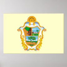 Manaus Amazonas bandera del Brasil, el Brasil Posters