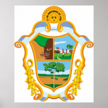 Manaus Amazonas, el Brasil Posters