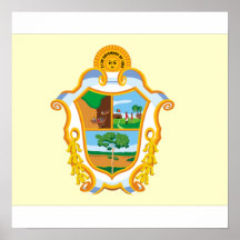 Manaus Amazonas, el Brasil Posters