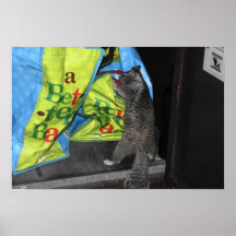 Manche la ardilla de tierra posters