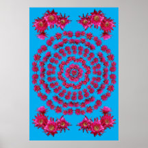 MANDALA 1 DEL CACTUS DE ERIZO POSTER