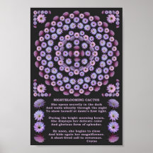 MANDALA 3 DE NIGHTBLOOMING CON EL POEMA POSTER