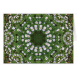 Mandala blanca de los Wildflowers de Fleabane de l Tarjeton