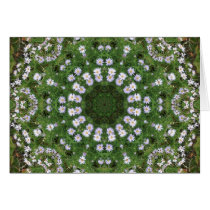Mandala blanca de los Wildflowers de Fleabane de l tarjetas