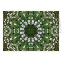 Mandala blanca de los Wildflowers de Fleabane de l Tarjeton