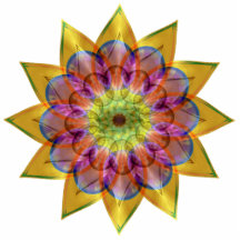 Mandala de la estrella de Floramoeba Esculturas Fotográficas