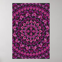 MANDALA DE SALTO 1 DE CHOLLA POSTERS