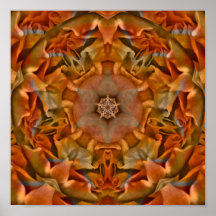 Mandala del collage de los rosas - impresión poster