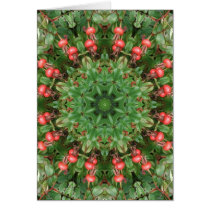 Mandala roja de las bayas de los escaramujos tarjetas