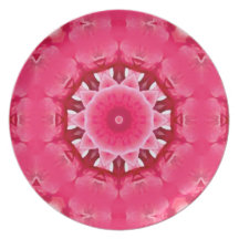Mandala subió platos para fiestas