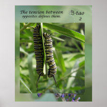 Manera de la mariposa - 02 contrarios poster