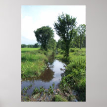 Manera de las naturalezas - fotografía de Nathan O Poster