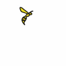 Manera del polo bordado AVISPA (negro y amarillo)
