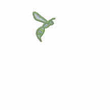 Manera del polo bordado AVISPA (verde y rosa)