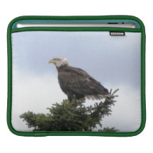 Manga de Kenai Alaska Eagle calvo Ipad Manga De iPad