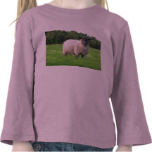 Manga larga del niño de Sheal Camisetas