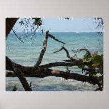 Mangles Negril, lona 32 de Jamaica por 24 pulgadas Impresiones