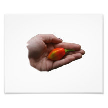 Mano que sostiene un pimiento picante del habanero fotografias
