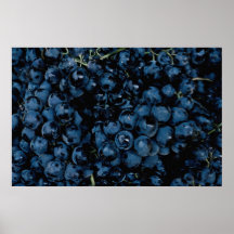 Manojos de uvas púrpuras poster
