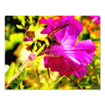 Manosee el cierre de la abeja para arriba foto
