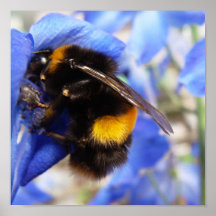 Manosee el poster de la abeja