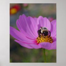 Manosee la abeja en el poster de la naturaleza de 