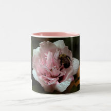 Manosee la abeja en el rosa de la taza de Sharon