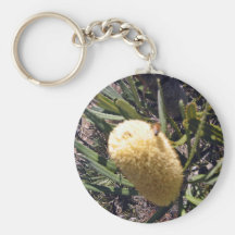 Manosee la abeja en la flor del banksia llaveros personalizados