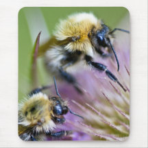 Manosee la abeja en la flor salvaje alfombrilla de ratones