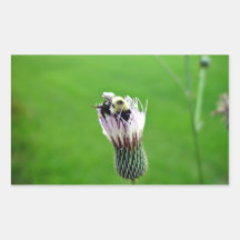 Manosee la abeja en una flor del cardo pegatina