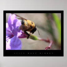 MANOSEE LA ABEJA POSTERS