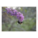 Manosee la abeja tarjeta