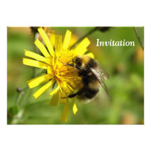 Manosee la invitación del fiesta de la abeja