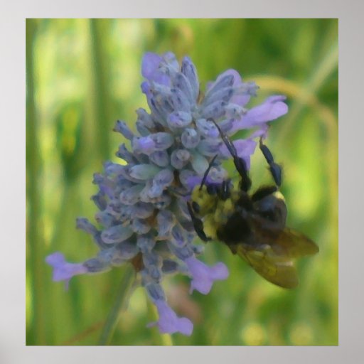 Manosee la pintura al óleo de la abeja posters