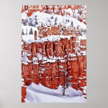 Manta del invierno posters