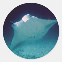Manta Pegatina Redonda