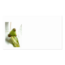 Mantids Tarjeta De Visita