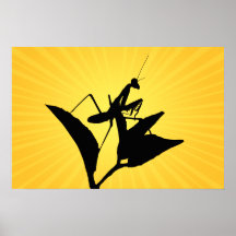 Mantis religiosa en una ramita con un Starburst Ba Posters