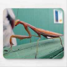 Mantis religiosa y hormiga alfombrillas de ratón