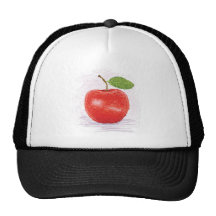 manzana gorros bordados