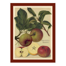 Manzanas botánicas postales