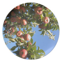Manzanas del valle del Hudson Platos De Comidas