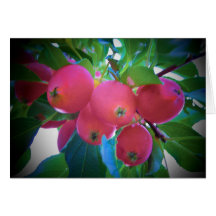 Manzanas minúsculas tarjeton