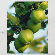 Manzanas, Ontario, Canadá Tarjeta Publicitaria